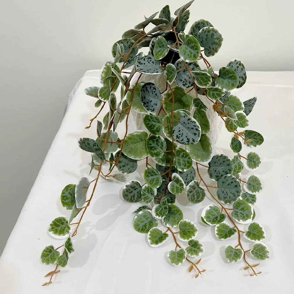 Plantes Artificielles de Vignes