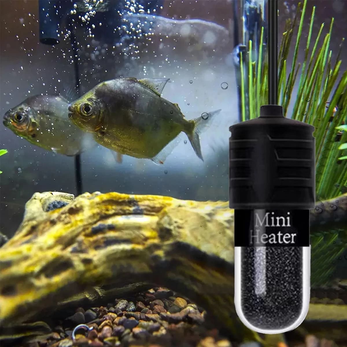 Mini chauffage d'aquarium 10W pour petit aquarium, chauffage à température constante avec affichage numérique, tige chauffante USB réglable 5V/2A