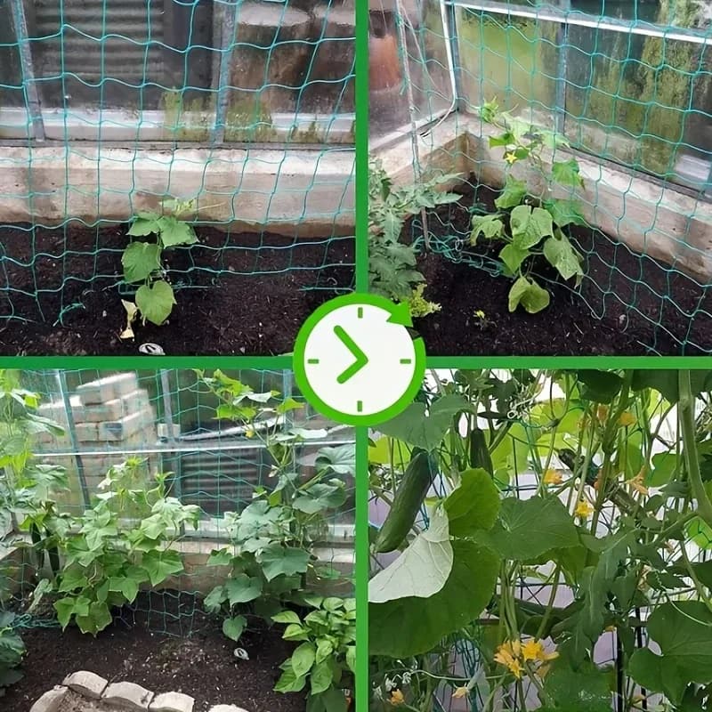 Pergolas pour plantes, filet de culture en polyester robuste