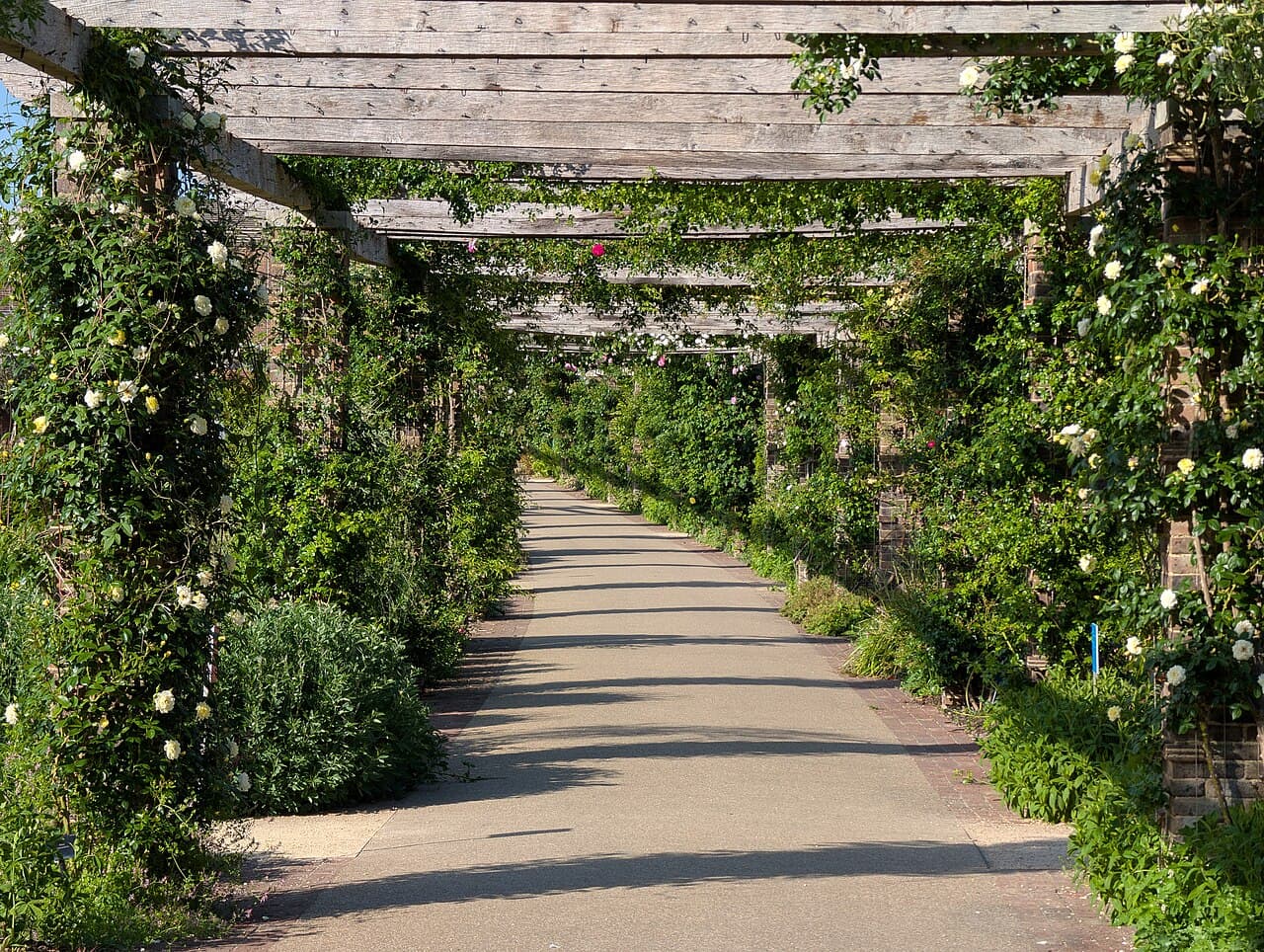 Pergola bioclimatique autoportée aluminium