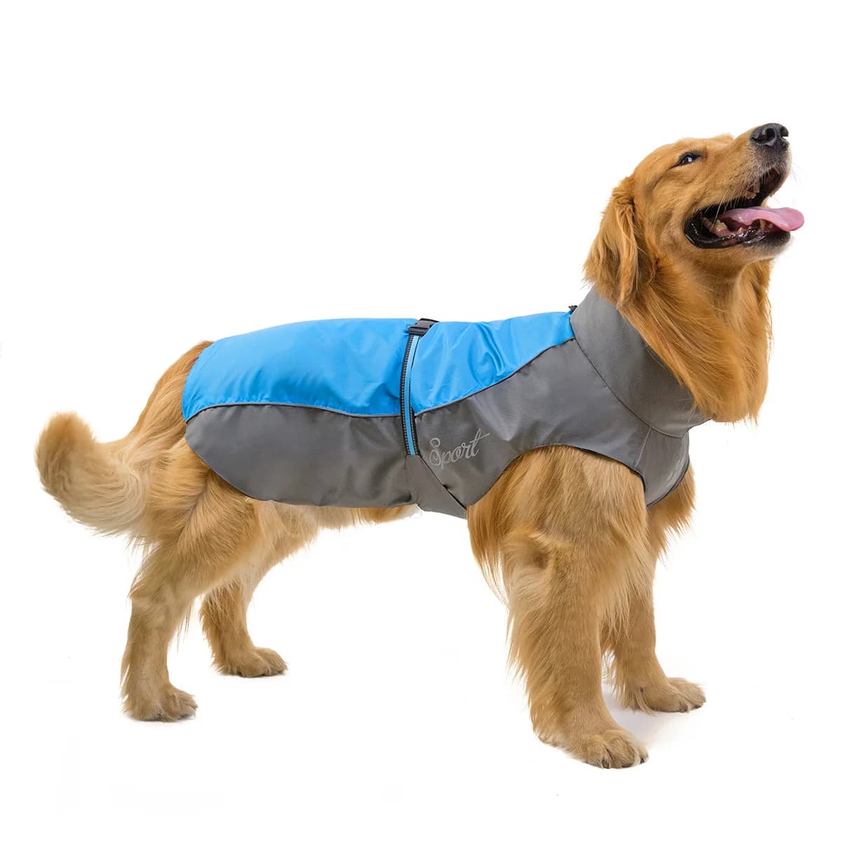 Manteau imperméable pour chien de compagnie, gros chien bouledogue français, manteau de pluie à la mode pour chien, veste réfléchissante pour petit, moyen et grand