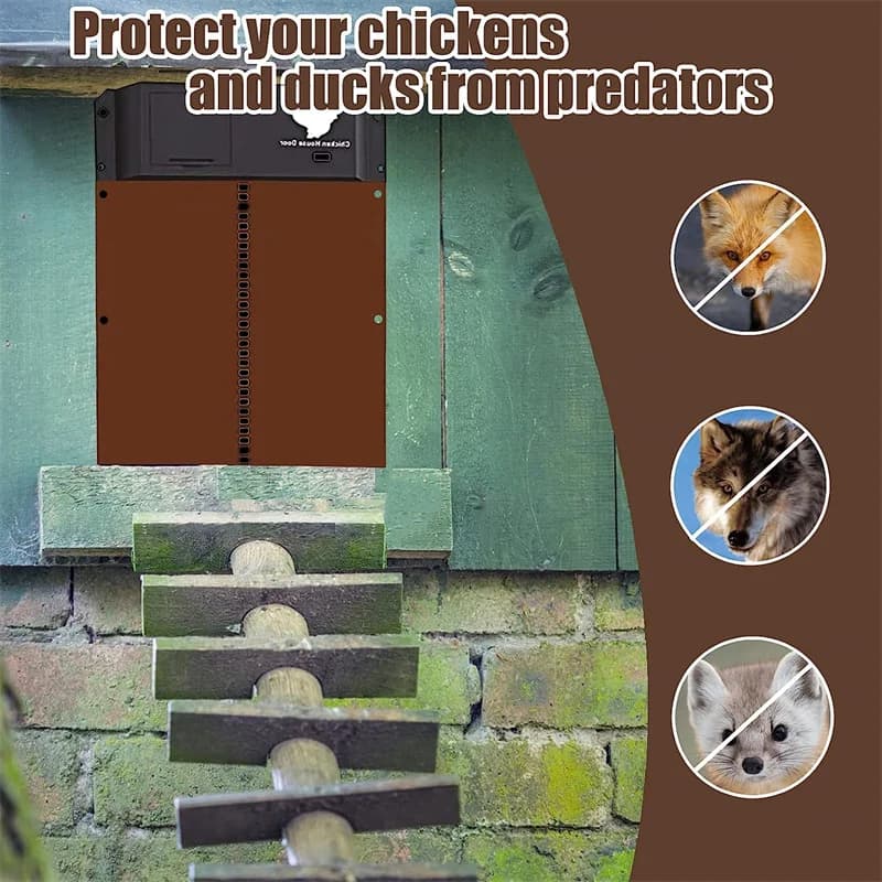 Porte automatique pour poulailler, porte de poulailler avec capteur de lumière, ouvre-porte pour poulets de ferme, fournitures pour cages à canards, alimenté par piles