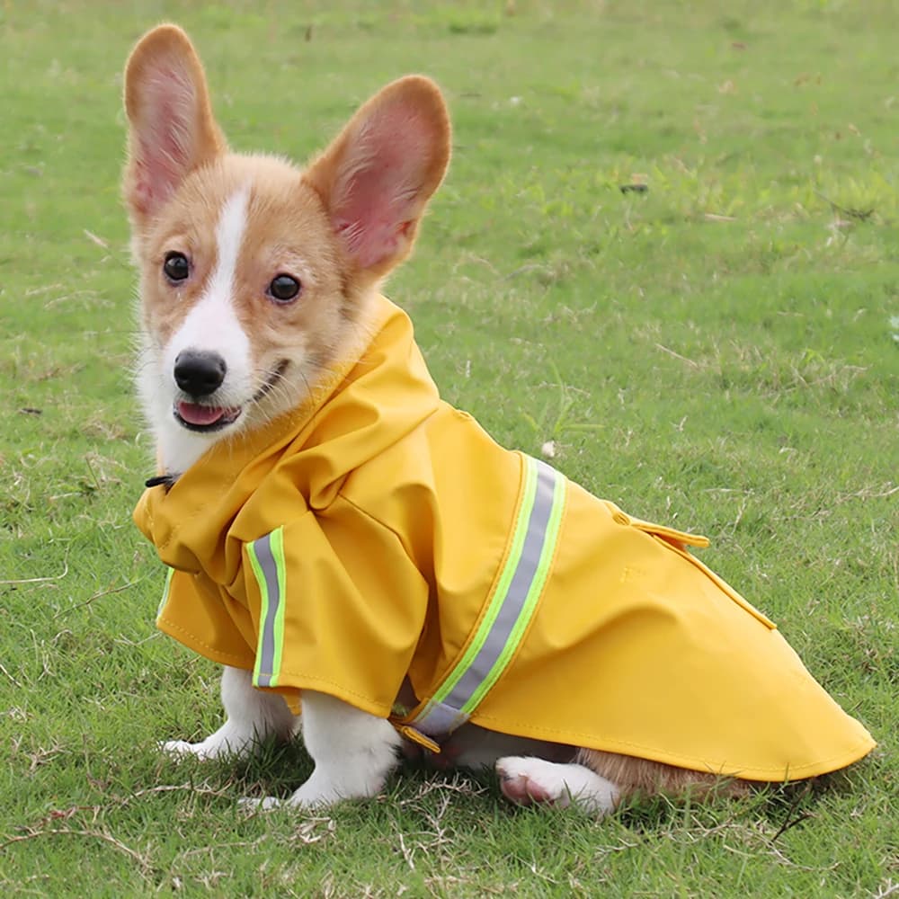Imperméable pour grand chien, manteau imperméable de style cape pour Corgi, imperméable réfléchissant coupe-vent et imperméable à capuche pour animaux de compagnie, spécialement conçu pour les chiens
