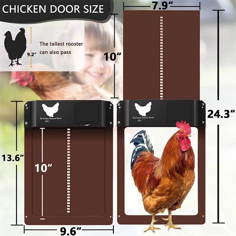 Porte automatique pour poulailler, porte de poulailler avec capteur de lumière, ouvre-porte pour poulets de ferme, fournitures pour cages à canards, alimenté par piles