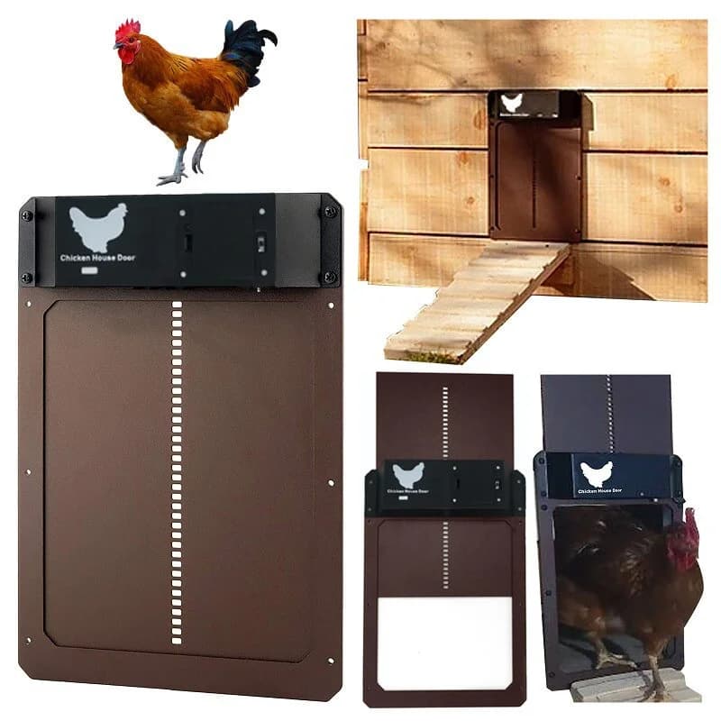 Porte automatique pour poulailler, porte de poulailler avec capteur de lumière, ouvre-porte pour poulets de ferme, fournitures pour cages à canards, alimenté par piles
