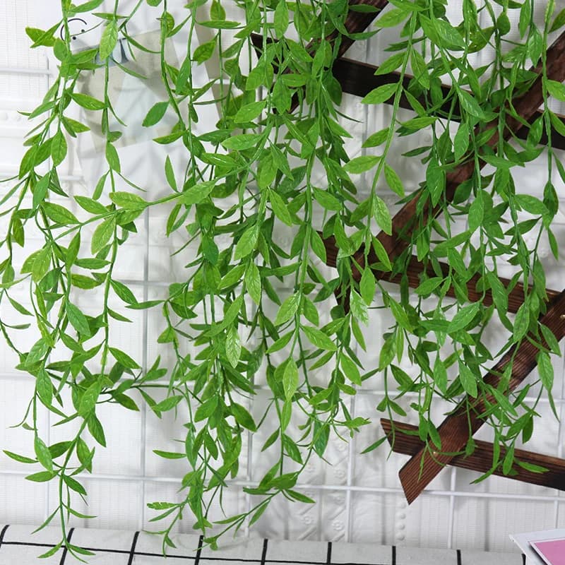 Feuilles de Saule et Vignes pour Décoration de la Maison