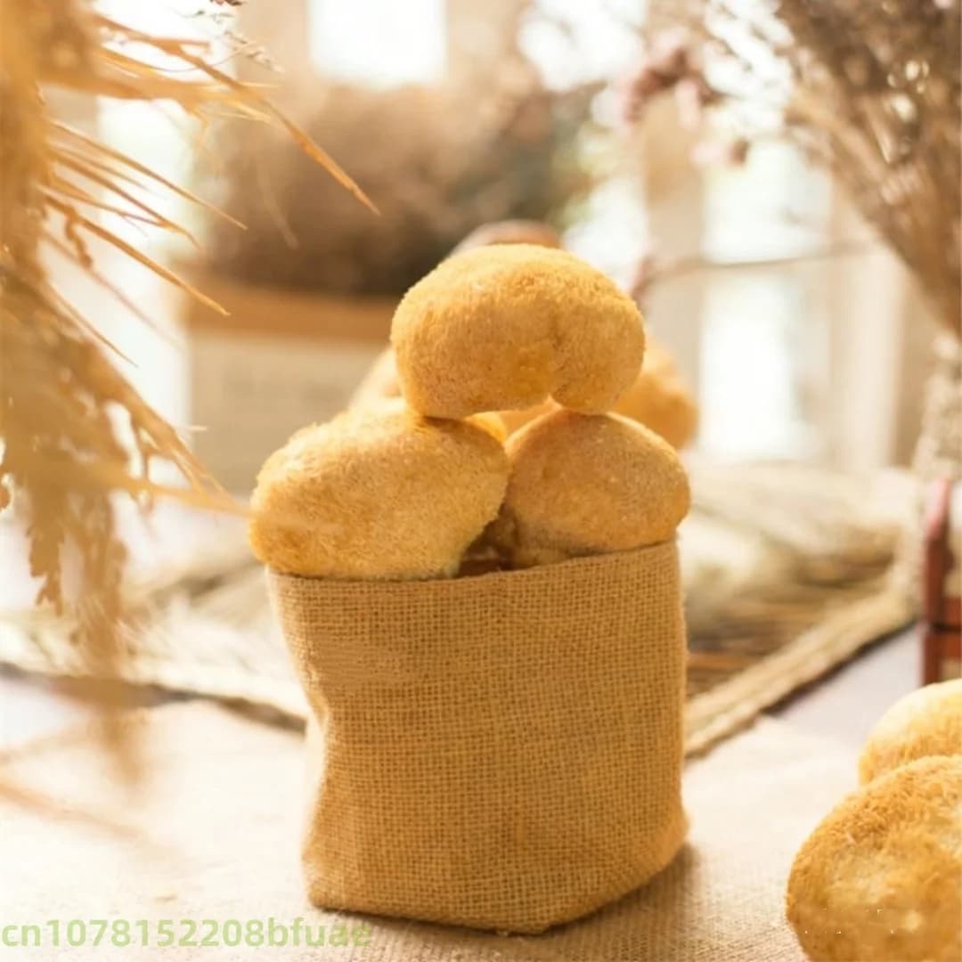 100g/200g Champignon Crinière de Lion Séché de Haute Qualité, Hericium Erinaceus Naturel, Matériau pour Artisanat en Résine