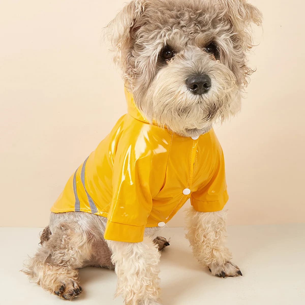Petit chien imperméable réfléchissant imperméable coupe-vent chien manteau chiot chats imperméable Chihuahua bouledogue animaux Cape Poncho vêtements