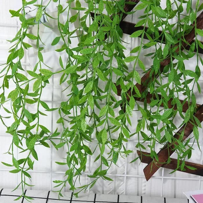 Feuilles de Saule et Vignes pour Décoration de la Maison