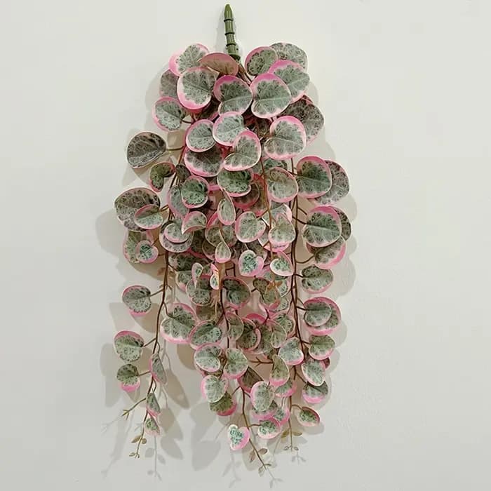 Plantes Artificielles de Vignes