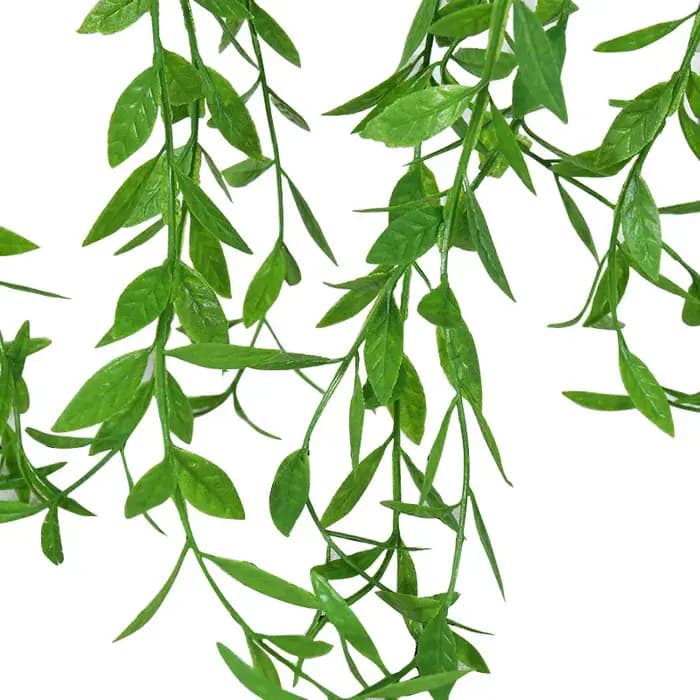 Feuilles de Saule et Vignes pour Décoration de la Maison