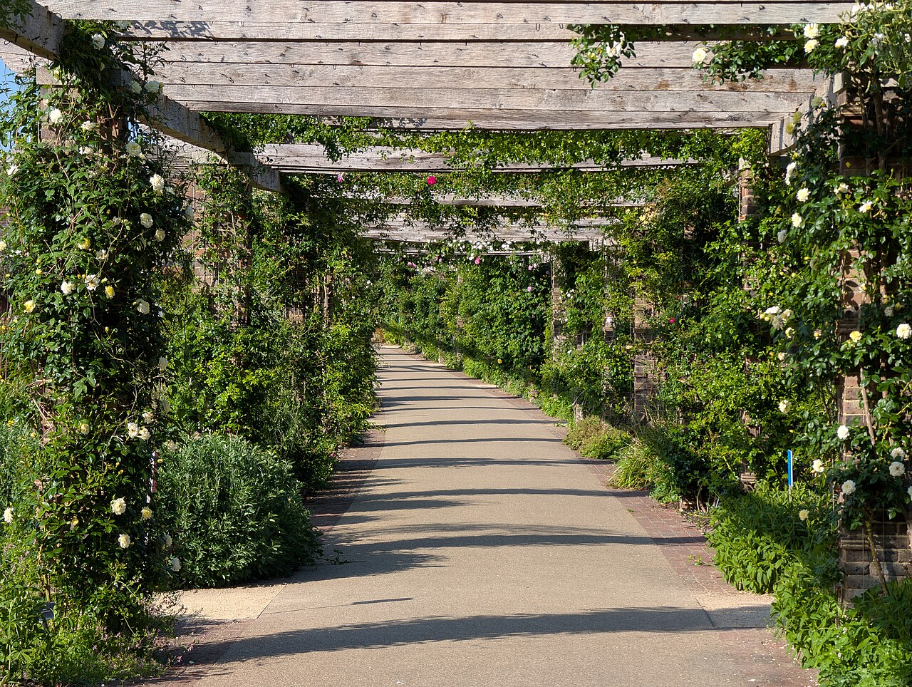 Pergola bioclimatique adossée aluminium